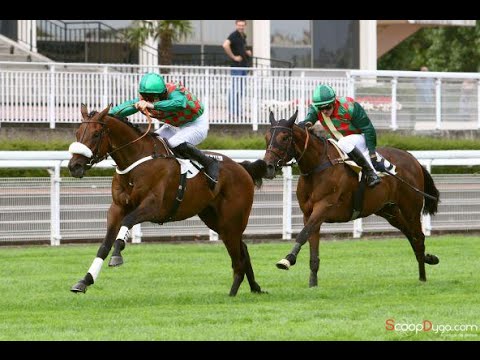 Saint Goustan Blue - Auteuil 4-Y-O Prix Melanos Listed Hurdle (06/09/16)