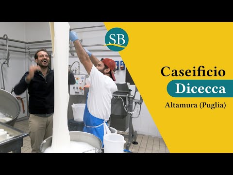 Caseificio Dicecca ad Altamura - Viaggio tra i sapori tipici pugliesi - Imperdibile!