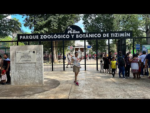 Explorando el Zoológico de Tizimin Yucatán 2024