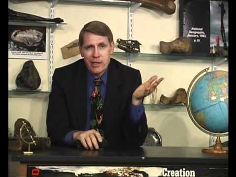 creationism_vs_evolutionism_15din20.flv