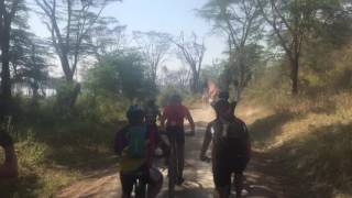 RVO cyclist perspective