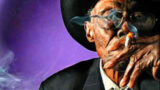 Pinetop Perkins (with Sugar Ray Norcia) - How Long Blues