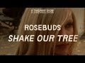 Rosebuds - Shake Our Tree - Take Away Show ...