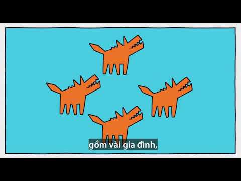 Quá trình thuần hóa chó sói thành chó nhà