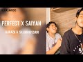 Perfect X Saiyan | Ali Raza | shjjar hussain
