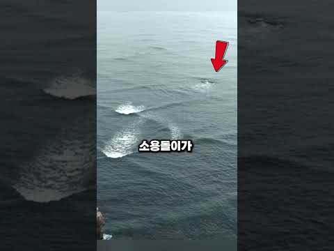 바다위에 네모난파도가 위험한 이유
