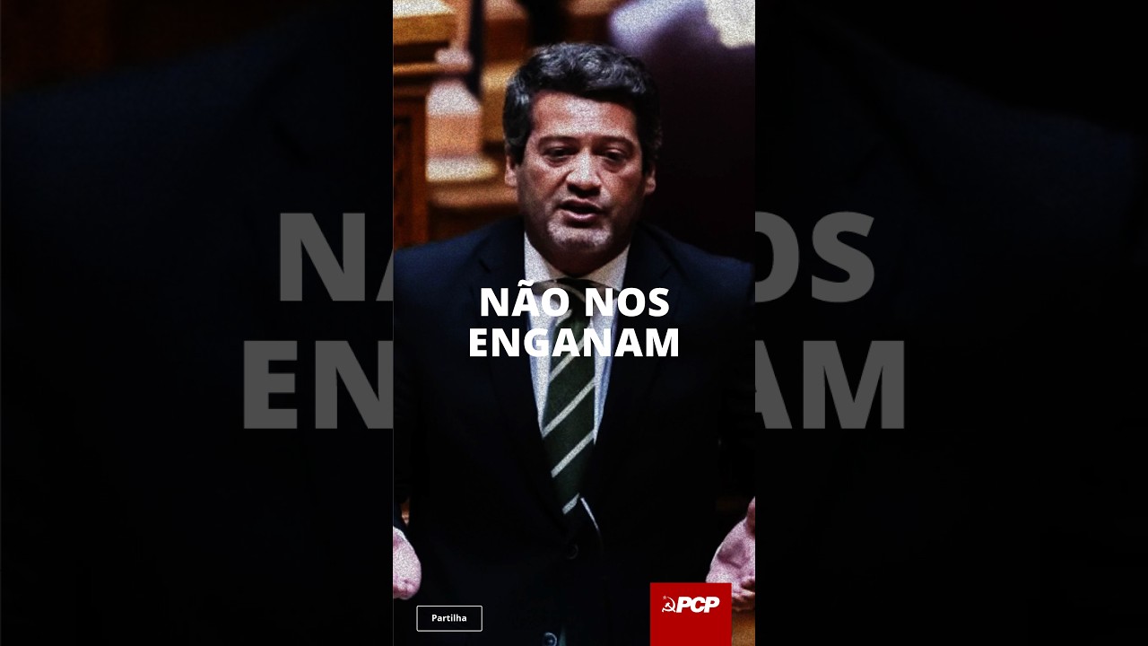 Não nos enganam.