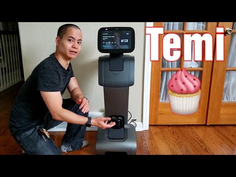 Temi 3 Review Video 1