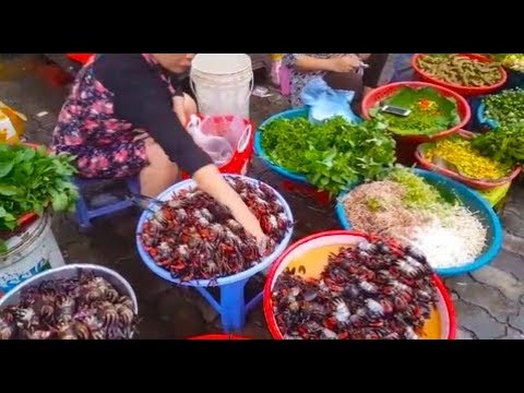 Cambodian Market - Food Tour Around Phnom Penh Market - Daily Food Video