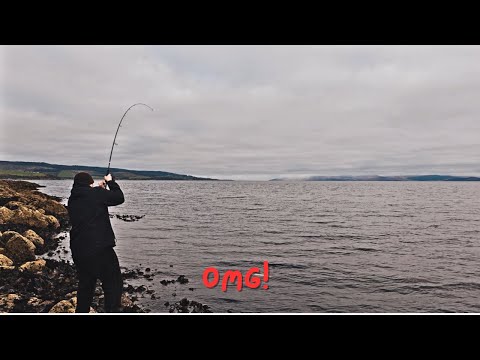 MASSIVE POLLACK! I Couldn't believe it