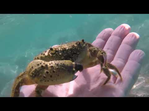 Sea of Croatia, 2021