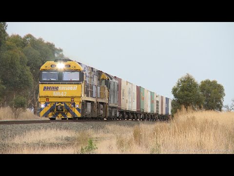 6MP4 TOLL / Pacific National Container Train Authority Order Running - PoathTV Australian Railways