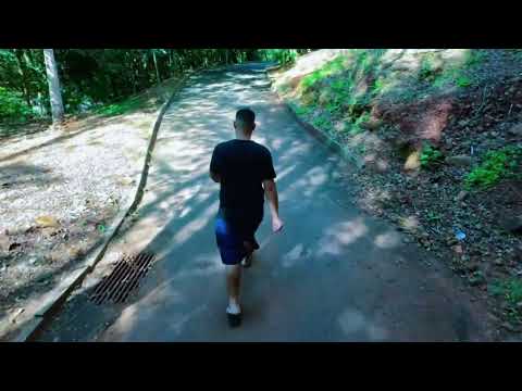 Bosque municipal Salgado Filho Paraná Brasil. Dji neo