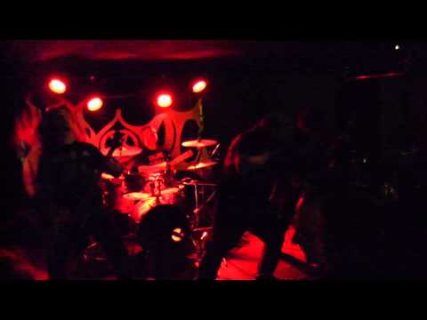 Hypnotic live in Wolfsburg - 2014-01-31 (1/1)