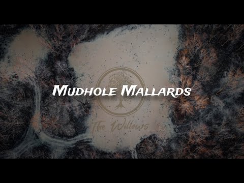 Mudhole Mallards (SO MANY DUCKS) Mississippi Delta Duck Hunting