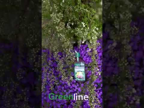 Миниатюра изображения товара Удобрение GREENLINE Для цветов и комнатных растений / 015-Ц-485 (485мл)