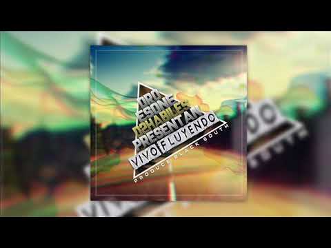 DROESONE & D2HABILES  - VIVO FLUYENDO 👽