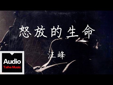 汪峰【怒放的生命】HD 高清官方歌詞版 MV 汪峰【怒放的生命】HD 高清官方歌詞版 MV song