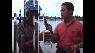 preview picture of video 'tambak-udang-bandeng-luwu-sulawesi-selatan'