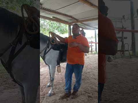 Gracias X la confianza. Criadero la Francia. (EL PASO CESAR) DOMA CON JOSÉ MIGUEL TRUJILLO