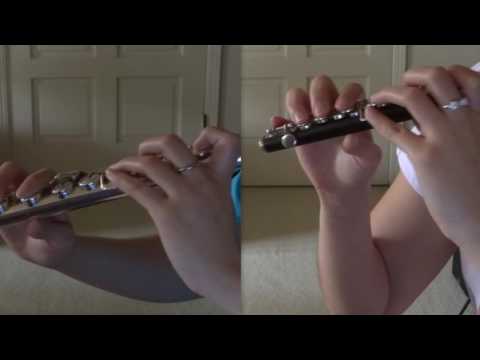 Love is an Open Door - Frozen [flute/piccolo cover]