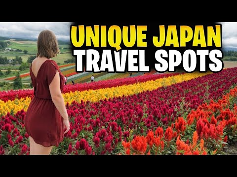 10 Unique Japan Travel Spots