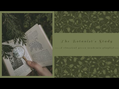 You’re a botanist documenting a rare species | A green academia playlist for nature studies (no AI)