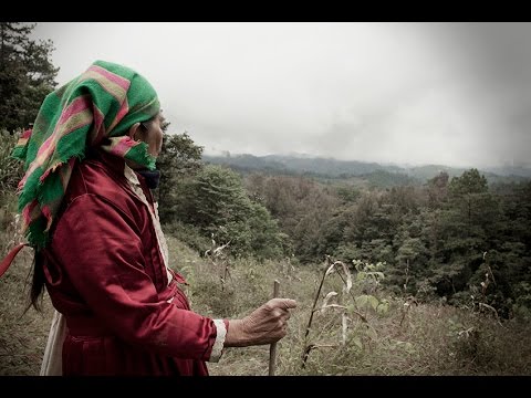 SPIRITI di Yukai Ebisuno e Raffaella Mantegazza