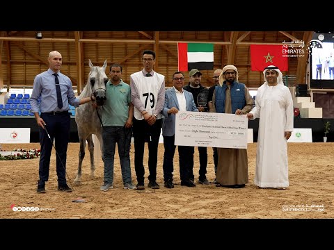 برعاية منصور بن زايد.. كأس الإمارات العالمي لجمال الخيل العربية يواصل حضوره الدولي في نسخته الثالثة 