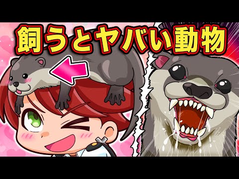 ペットにしてはいけない動物