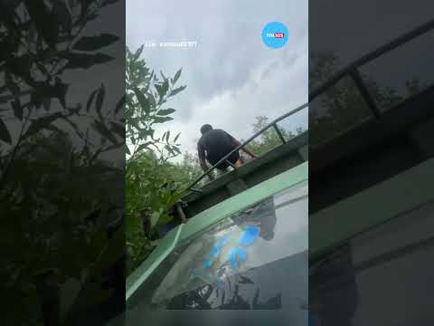 Xe hôm nay có cả cửa sổ trời😅
