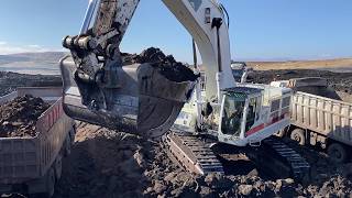 White Cat 385C Excavator Loading Coal On Mercedes & MAN Trucks | Mining Operation 4K - Interkat SA