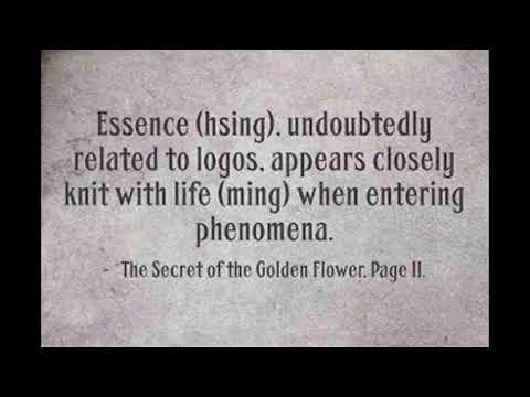 Carl Jung on "The Secret of the Golden Flower"