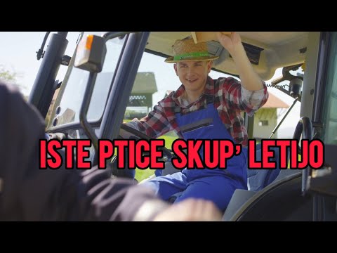 Guštni muzikanti - Iste ptice skup letijo (Official Video)