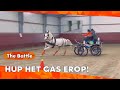 DE SNELSTE PAARDENRACE OOIT! | BATTLE MENNEN | ZAPPSPORT