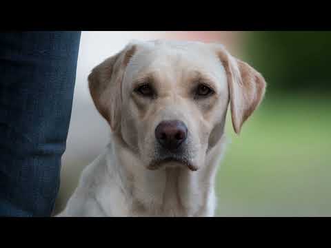 Das Beste aus zwei Welten