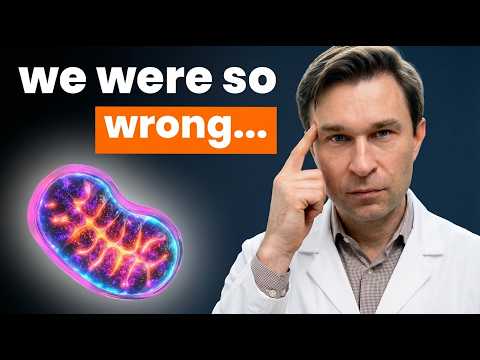 7 Foods to Make New Mitochondria (Scientific Proof) | Dr.David Sinclair