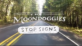 The Moondoggies - 