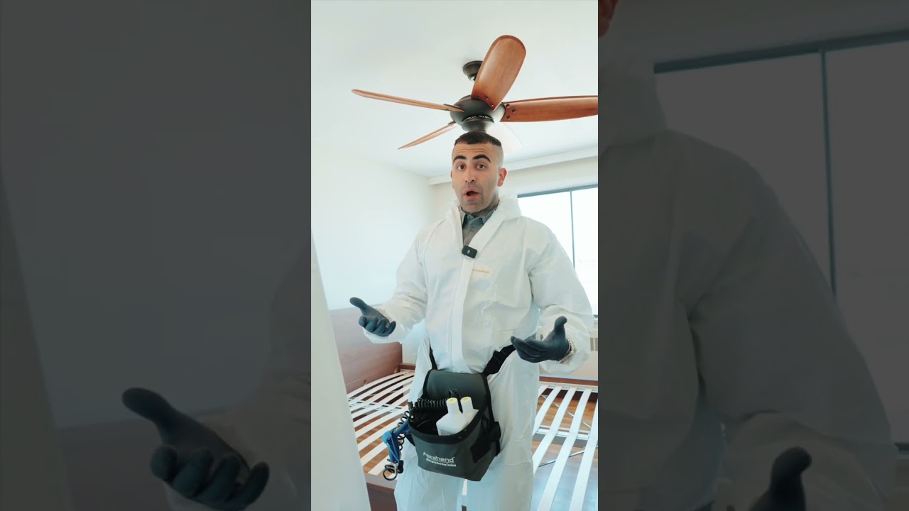 Bed Bug Treatment That Works | Phantom Pest Control’s Proven 1-Shot Solution