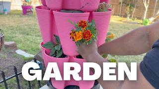 finding peace in my garden