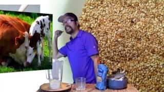 Leche de Ajonjoli - La mejor Fuente de Calcio Alcalina y Deliciosa