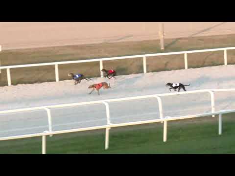 2018.10.14. - Agár futam