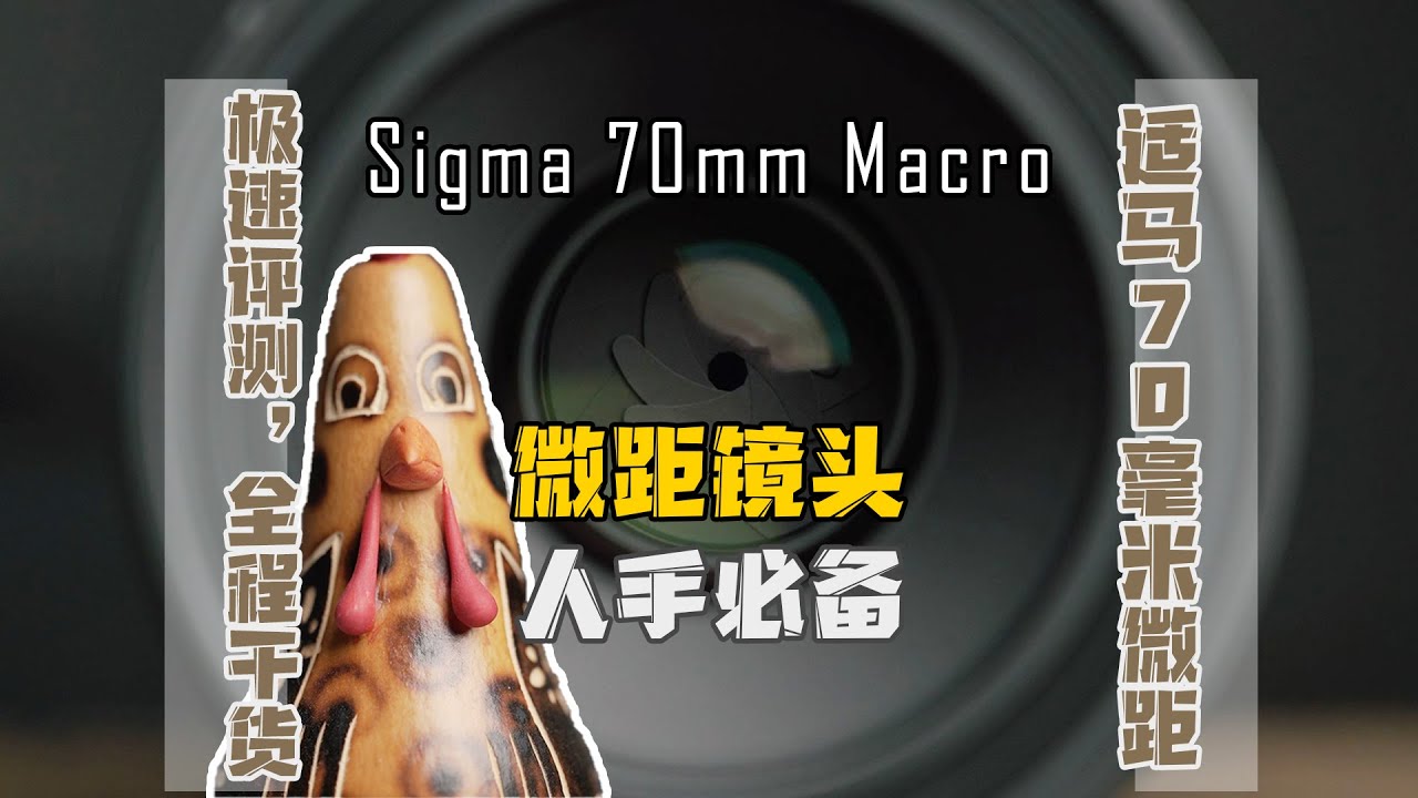 极速评测微距小霸王，适马70mm f2.8 索尼E原生微距镜头真的香吗 | Sigma 70mm Macro Sony E Mount