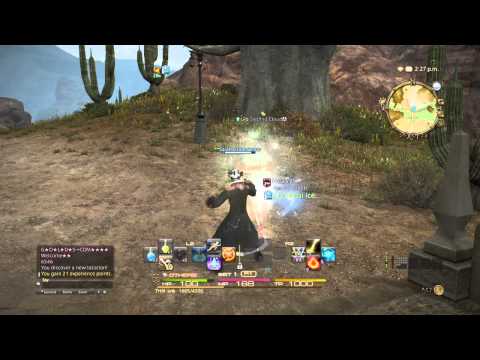 FINAL FANTASY XIV Sa'al ta  Thaumaturge Hunt log Insect Level 5