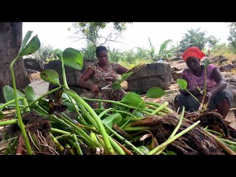 Provide An Empowering Workplace for Women in Ghana