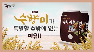 햇살드리 2023 수향미 특등급 10kg (1개)_동영상_이미지