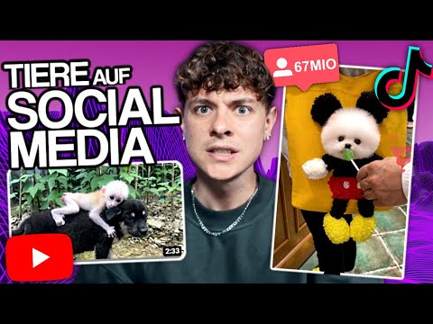 TIERMISSBRAUCH AUF SOCIAL MEDIA