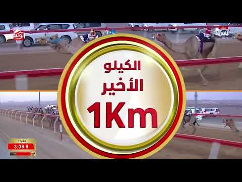 ش 1 (أعياد) لـ سلطان علي بن سلطان سالم الكتبي 4:35:30 ، مهرجان العين 2026/08/03 حقايق الروضة