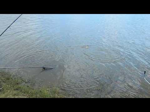 pescuit test Frasin 1 - 10