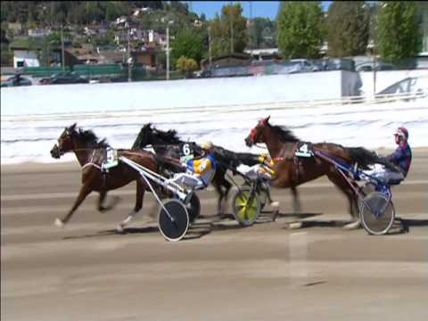 Trotto 30/04/2017 - 1ª corsa